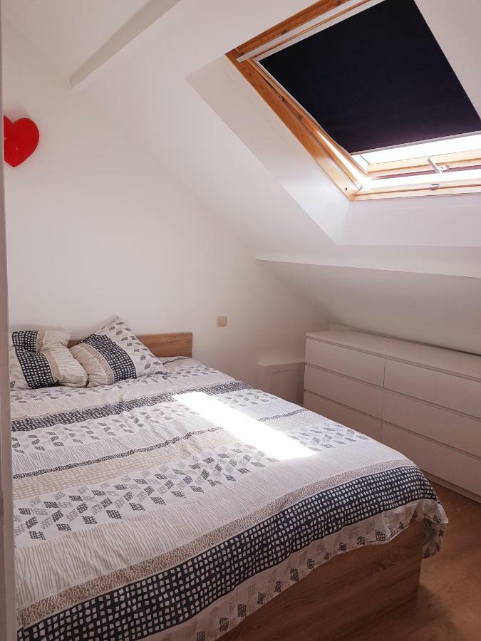 Cosy - Near Paris Asterix Roissy Appartement Persan